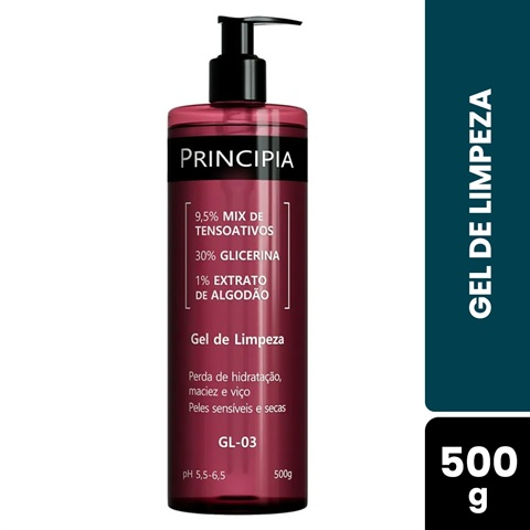 Gel De Limpeza Principia GL-03 Com 500g
